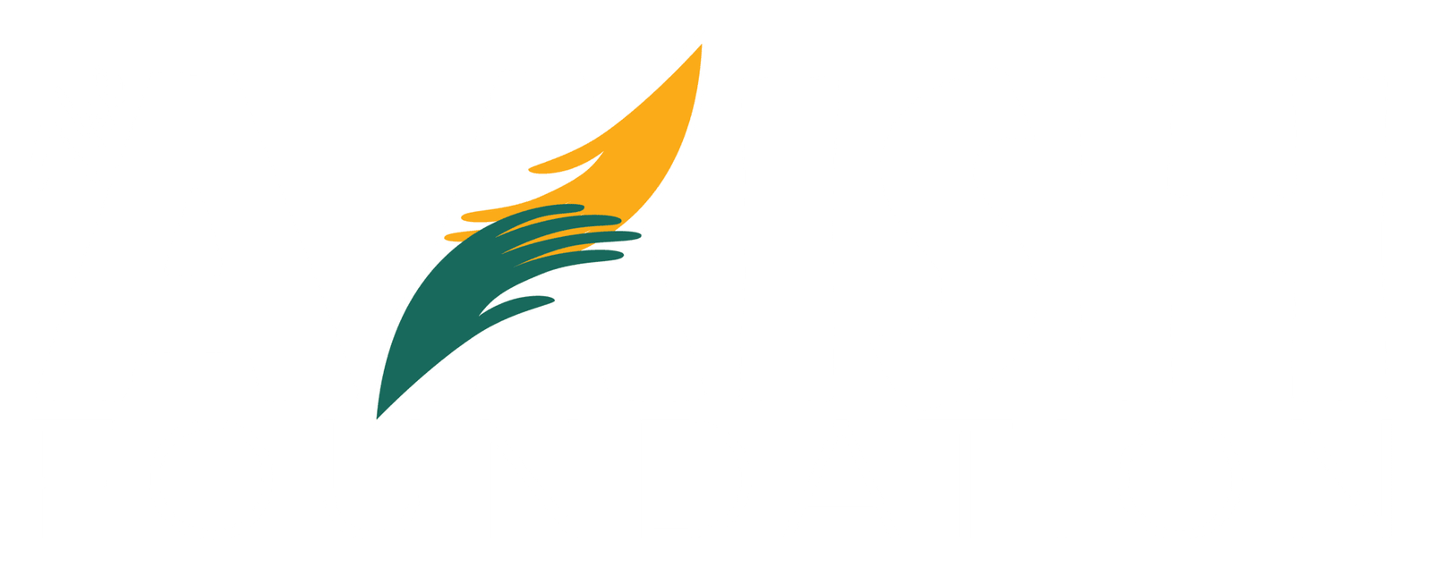 The Aaish Foundation Footer Logo